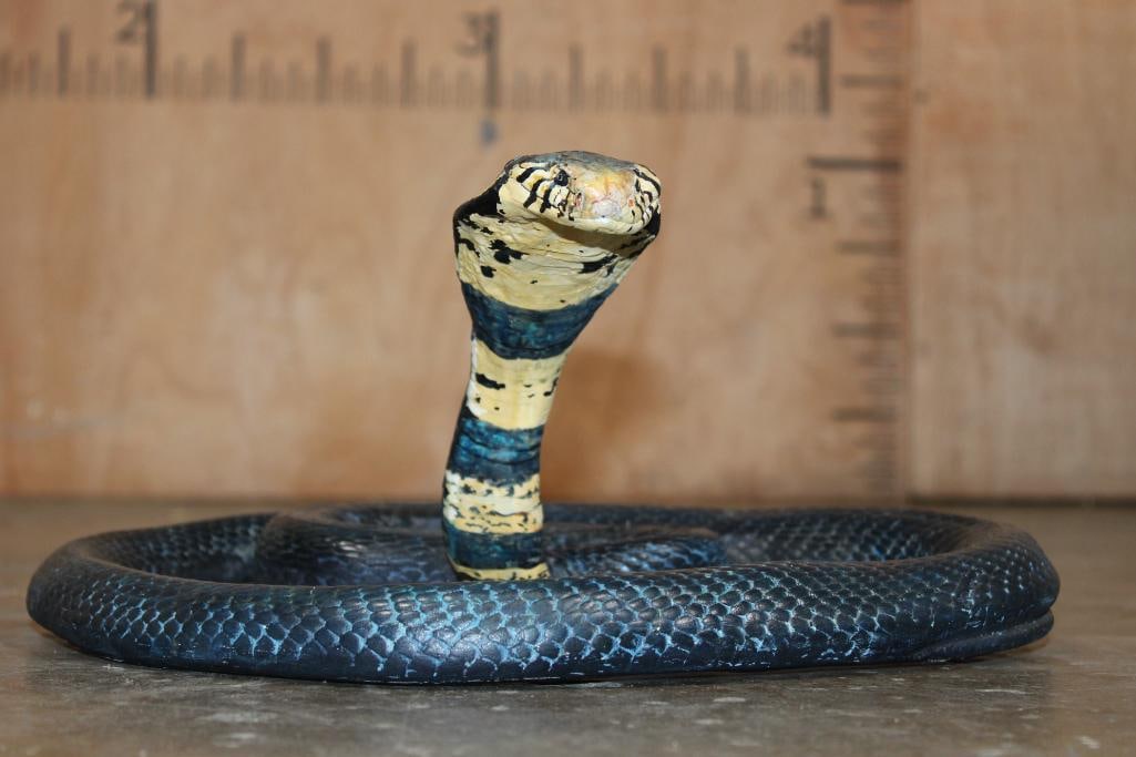 Reproduction FOREST COBRA Snake Sculpture: Very Nice and realistic reproduction FOREST COBRA Snake Sculpture. It measures 14.5" Long (in a straight line) x 12" Wide x 6.5" Tall. COLLECTIBLE WILDLIFE ART 