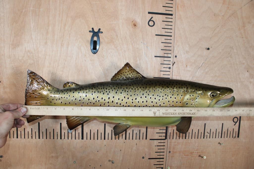 Reproduction BROWN TROUT Fish Mount - 6