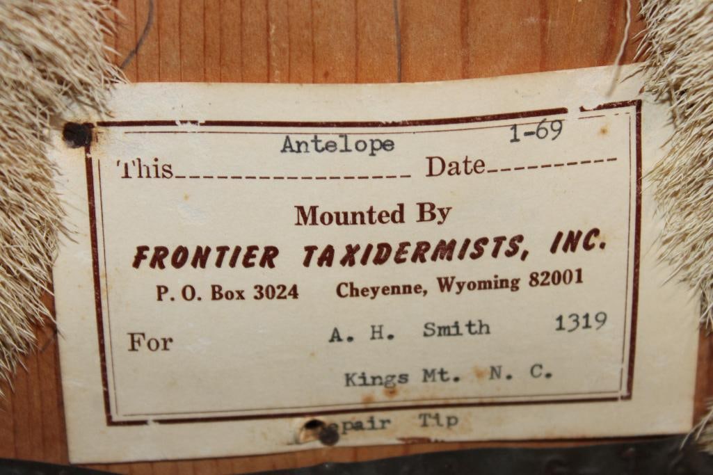 PRONGHORN Shoulder Mount - 8