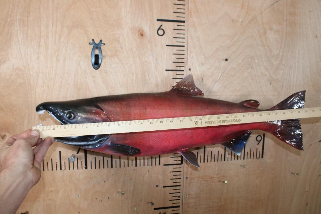 Reproduction SOCKEYE SALMON or COHO SALMON Fish Mount - 5