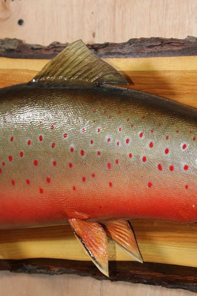 *Real Skin* XXL BROOK TROUT mounted on a Wood Slice - 3