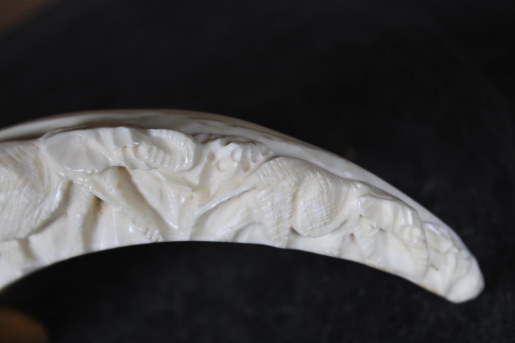 Scrimshawed WARTHOG TUSK with an Elephant Scene on a Brass Base - 4