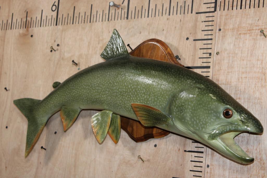 Big Reproduction LAKE TROUT on a Wooden Plaque - 2