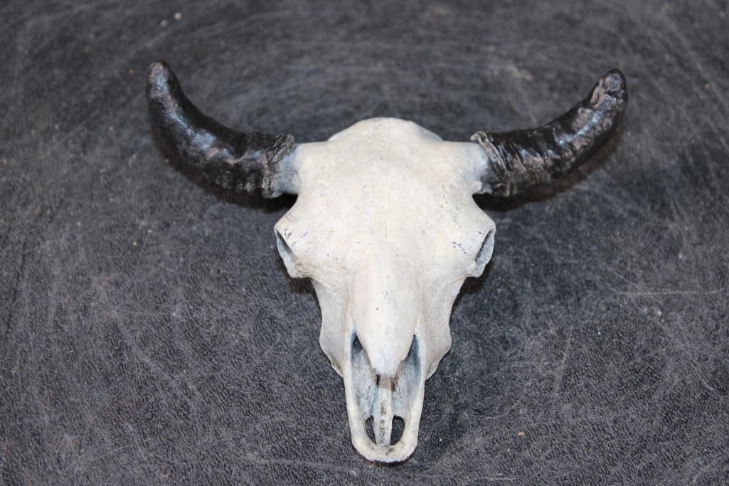 Original Bronze Buffalo Skull Sculpture Signed by John Lewton and Numbered #2/100: Original Bronze Buffalo Skull Sculpture or Paper Weight Signed "Lewton" and Numbered, #2/100. It measures 3.25" Long x 4" Wide x 1.25" Tall and Weighs 10 oz. John Lewton is a renowned Bronze