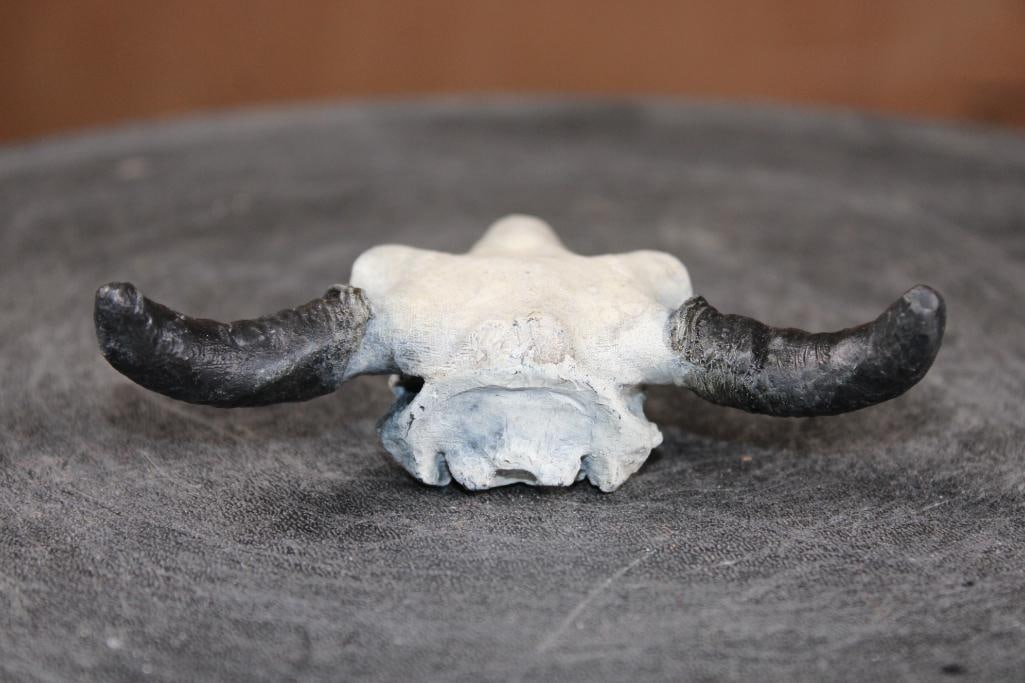 Original Bronze Buffalo Skull Sculpture Signed by John Lewton and Numbered #2/100 - 4