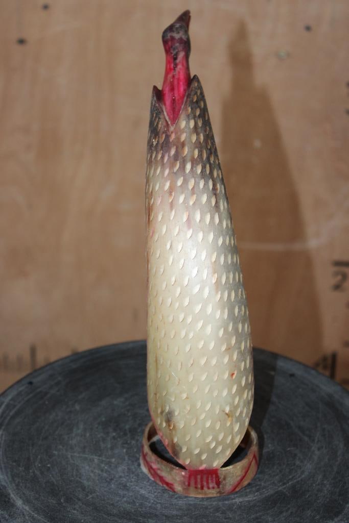 Hand-carved and Polished Steer Horn TOKAMPINI BIRD Totem from the Tiwi Islands - 4