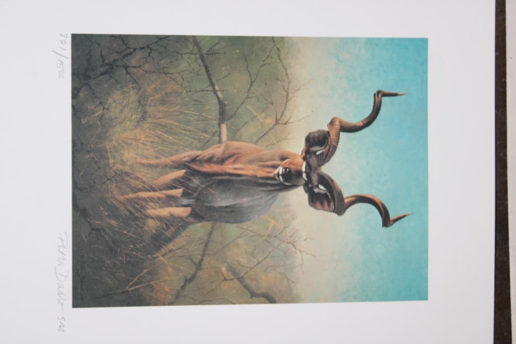 Signed Peter Darro Lithograph "Greater Kudu", Numbered #821/500 - 3