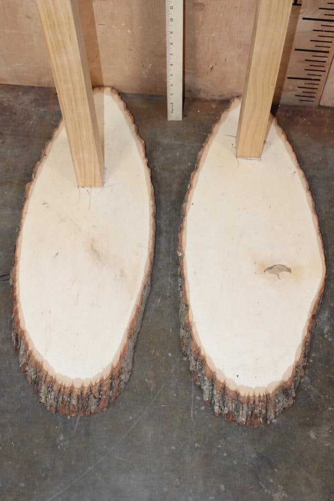 (2) Log Slice PEDESTALS for a Skull or Mount - 3