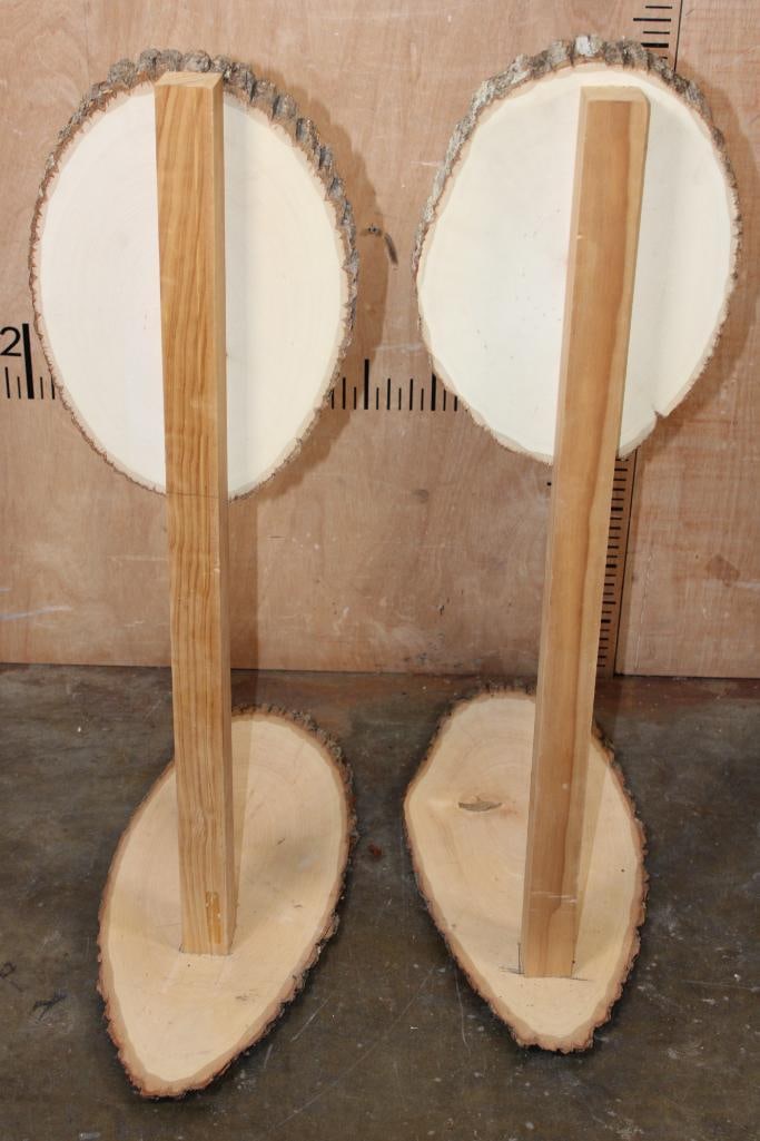 (2) Log Slice PEDESTALS for a Skull or Mount - 5