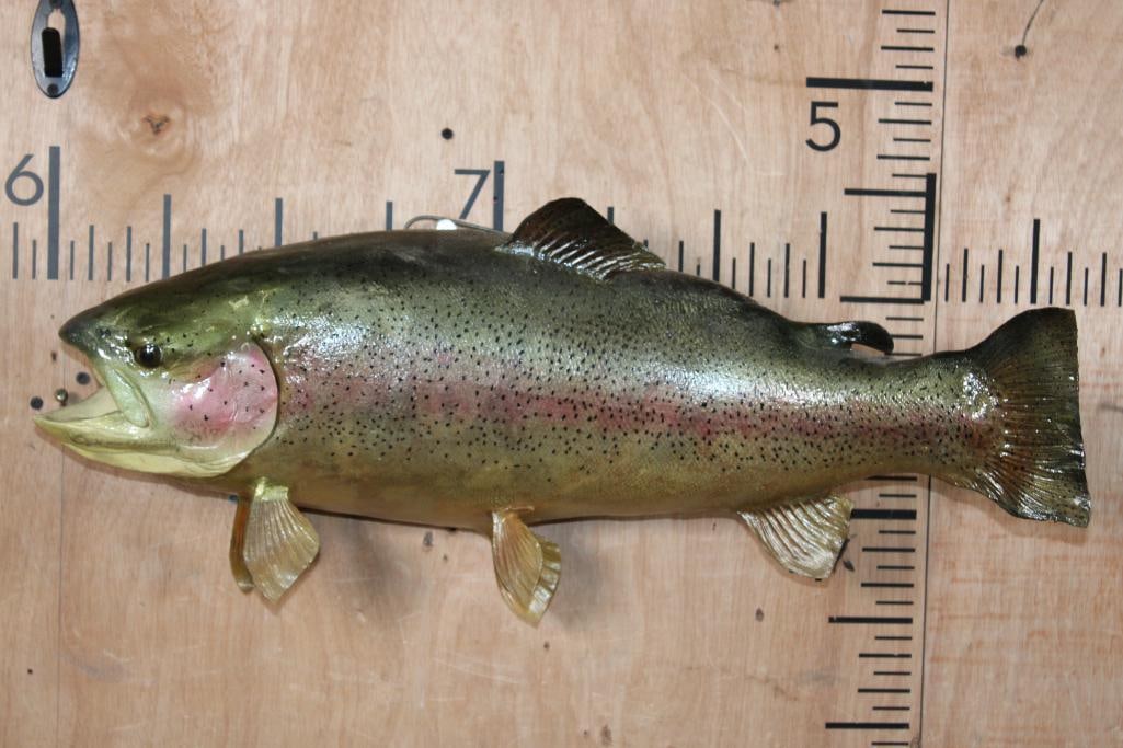Big RAINBOW TROUT Fish Mount: Nice and Big RAINBOW TROUT Fish Mount. It has a Reproduction Head and a *Real Skin* Body. It measures 26" Long and is in Good Condition. TAXIDERMY FISH 