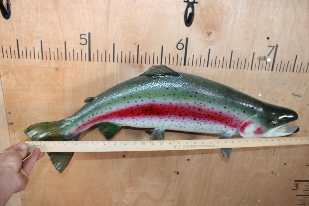 *Real Skin* RAINBOW TROUT with a Reproduction Head Fish Mount - 4