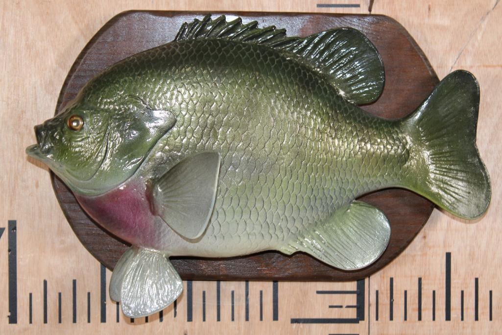 Big Reproduction SUNFISH or BLUEGILL on a Wood Plaque: Nice, Big Reproduction SUNFISH or BLUEGILL on a Wood Plaque. It measures 15" Long x 10" Wide and is in Good Condition. TAXIDERMY FISH 