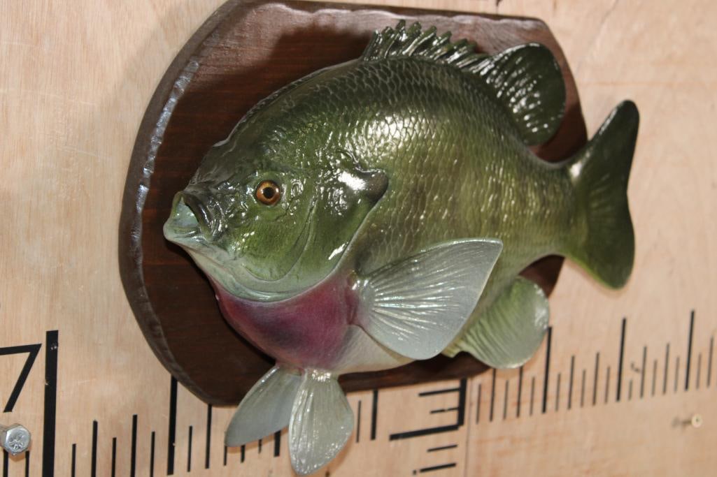 Big Reproduction SUNFISH or BLUEGILL on a Wood Plaque - 2