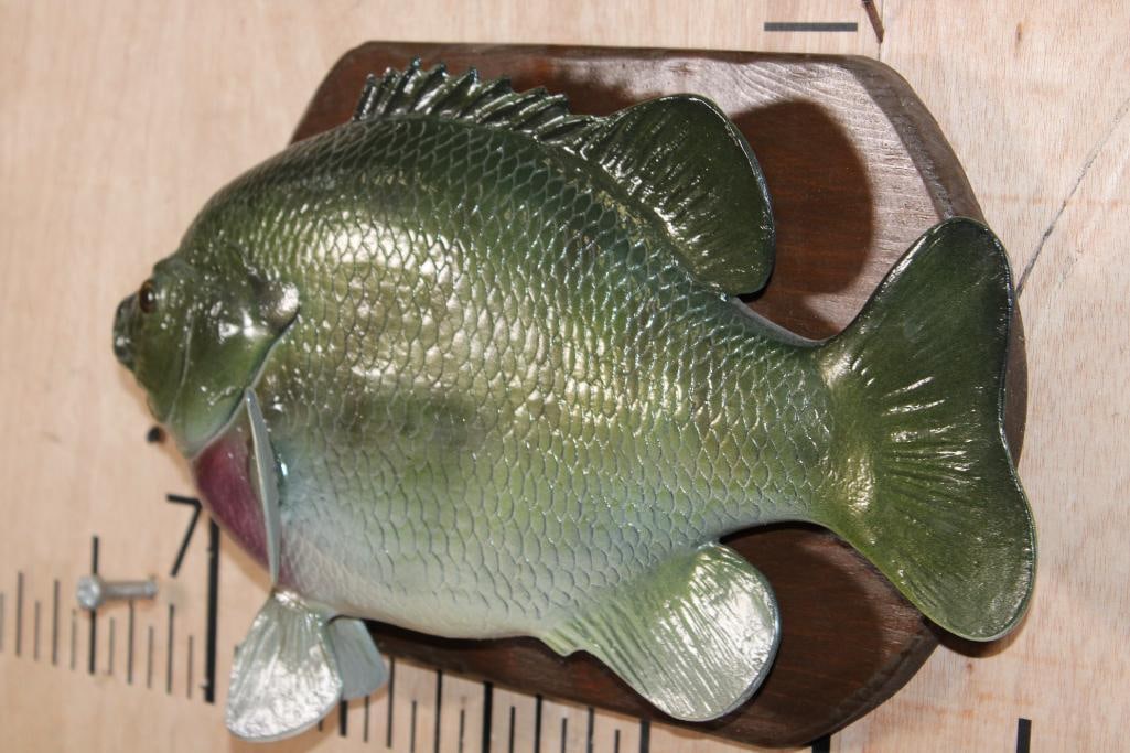 Big Reproduction SUNFISH or BLUEGILL on a Wood Plaque - 3