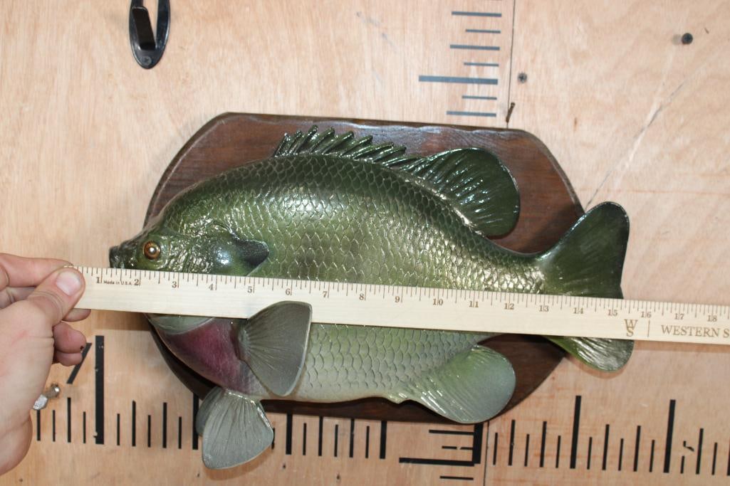 Big Reproduction SUNFISH or BLUEGILL on a Wood Plaque - 4