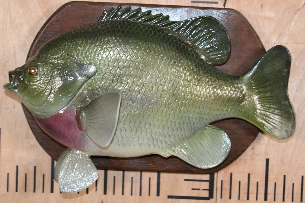 Big Reproduction SUNFISH or BLUEGILL on a Wood Plaque - 5