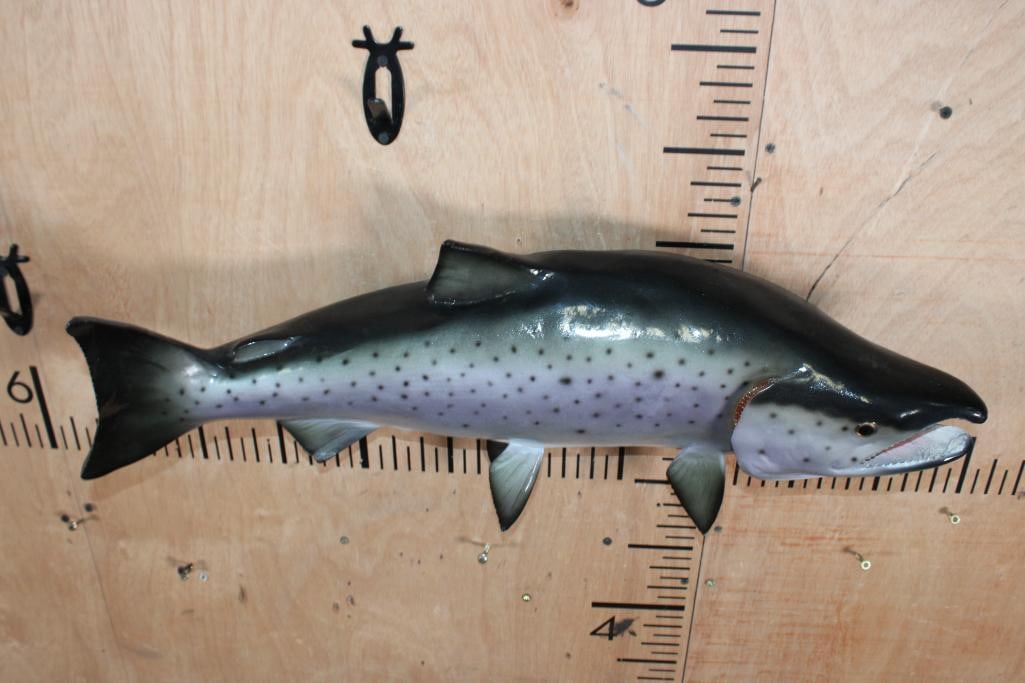 Reproduction COHO SALMON Fish Mount - 4