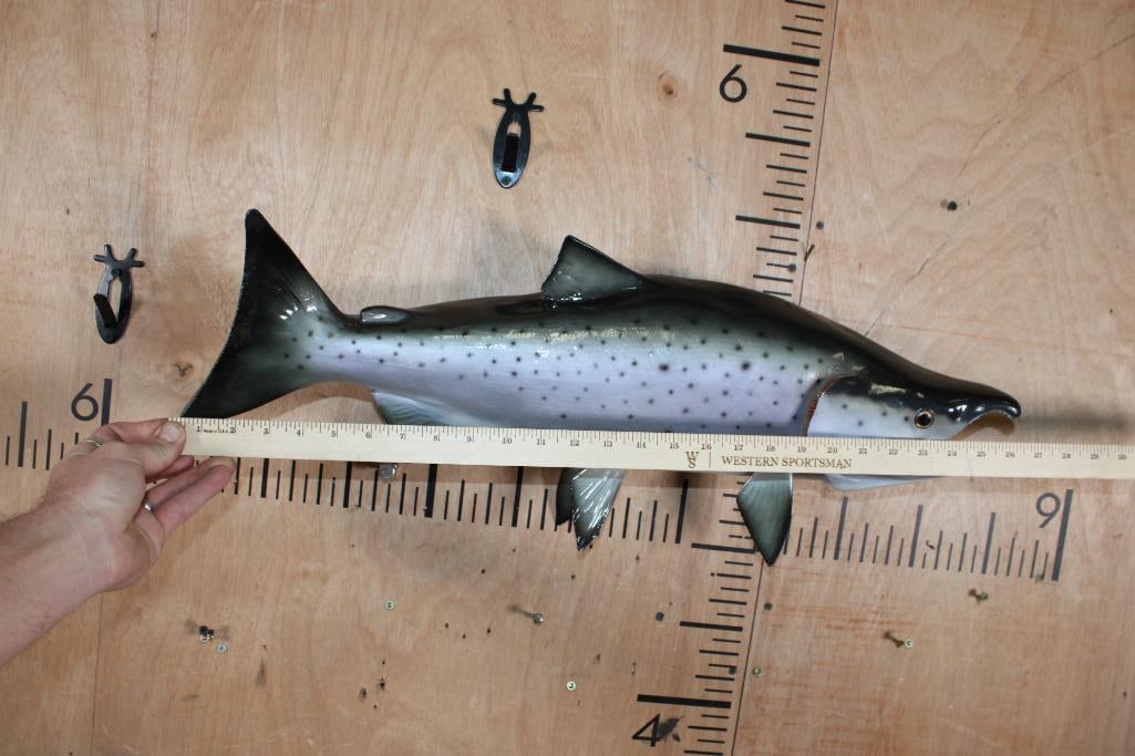 Reproduction COHO SALMON Fish Mount - 5
