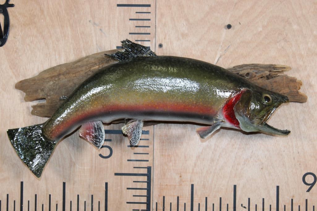 *Real Skin* RAINBOW TROUT on a Driftwood Base: *Real Skin* RAINBOW TROUT on a Driftwood Base. The Total Mount measures 19.5" Long x 9" Wide. TAXIDERMY FISH 
