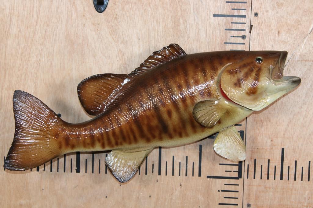 Reproduction SMALL MOUTH BASS Fish Mount: Nice Reproduction SMALL MOUTH BASS Fish Mount. It measures 21.5" Long and is in Very Good Condition. TAXIDERMY FISH 