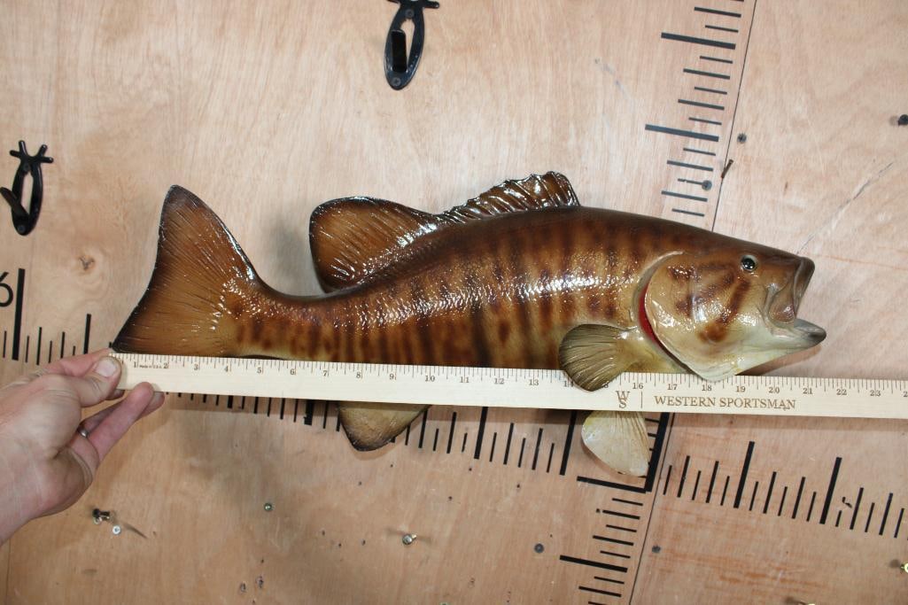 Reproduction SMALL MOUTH BASS Fish Mount - 4