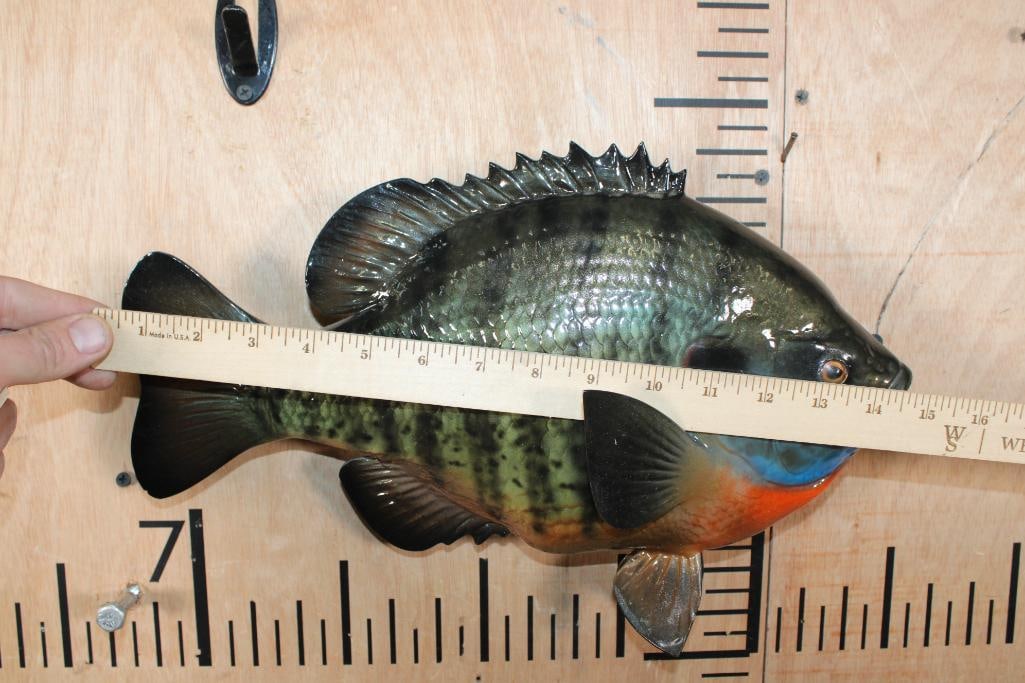Reproduction BLUEGILL Fish Mount - 4