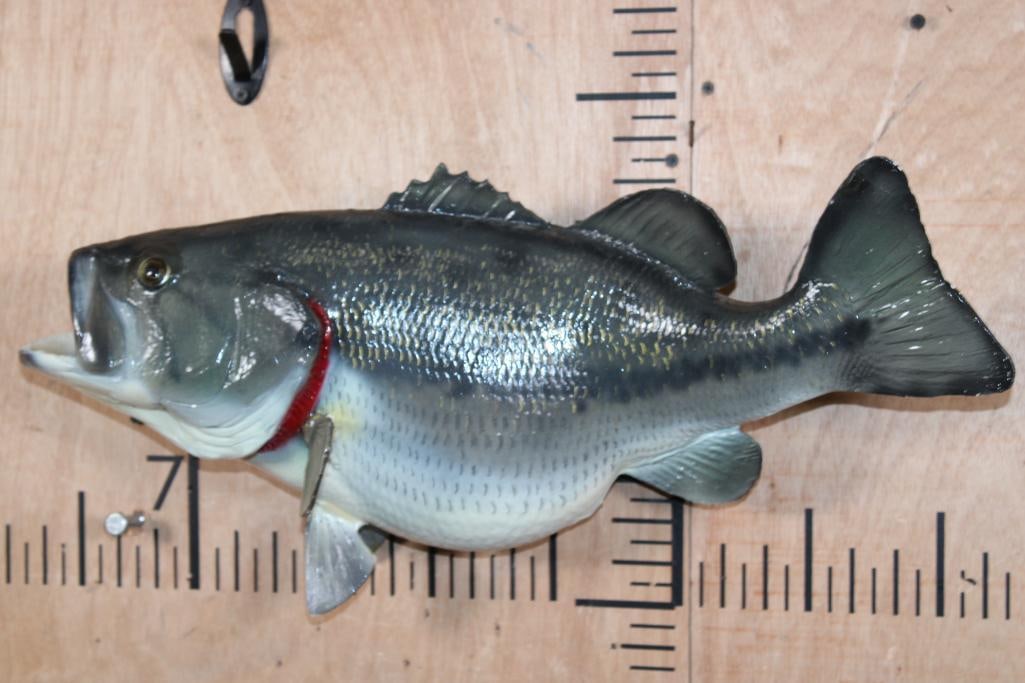 Reproduction BASS Fish Mount: Nice Reproduction BASS Fish Mount. It measures 22.5" Long x 11" Wide x 7" Depth and is in Good Condition. TAXIDERMY 