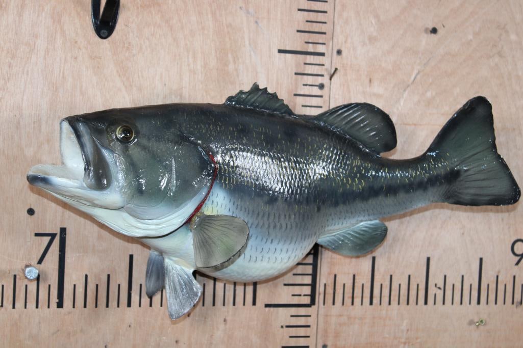 Reproduction BASS Fish Mount - 2