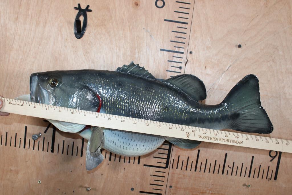 Reproduction BASS Fish Mount - 5