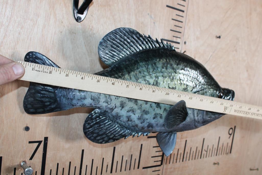Reproduction BLACK CRAPPIE Fish Mount - 4