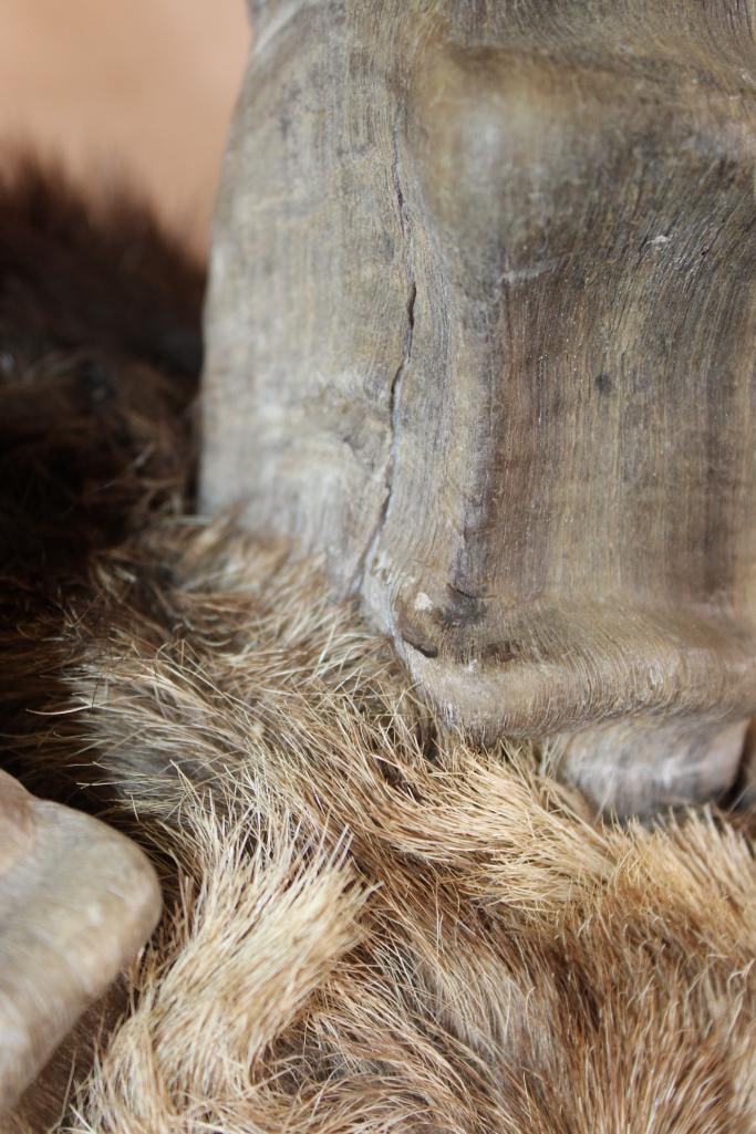 IBEX Shoulder Mount - 5