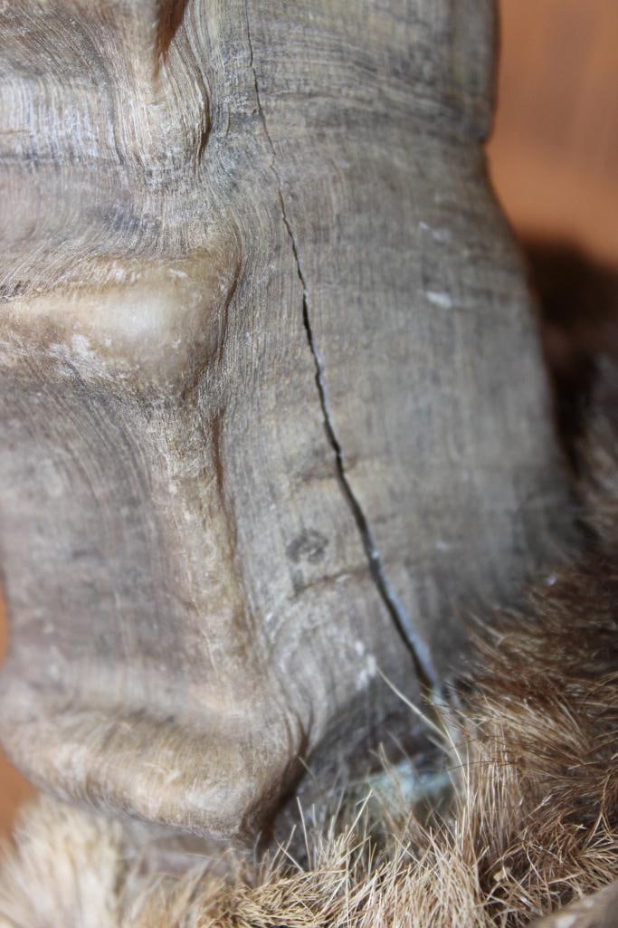 IBEX Shoulder Mount - 6