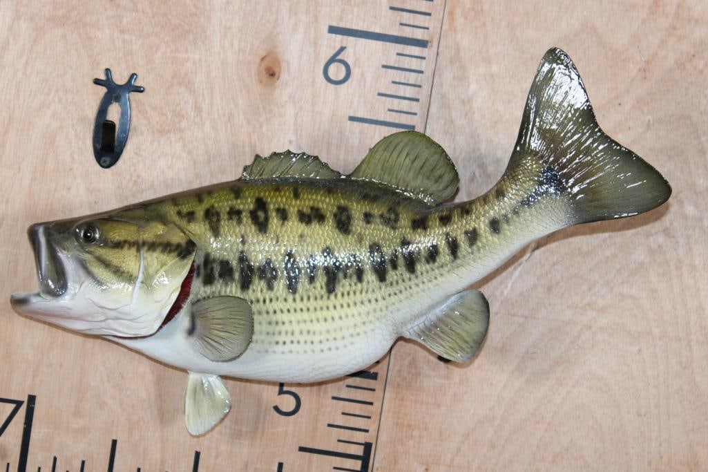 Reproduction BASS Fish Mount: Nice Reproduction BASS Fish Mount. It measures 22" Long x 10" Wide and is in Good Condition. TAXIDERMY FISH 