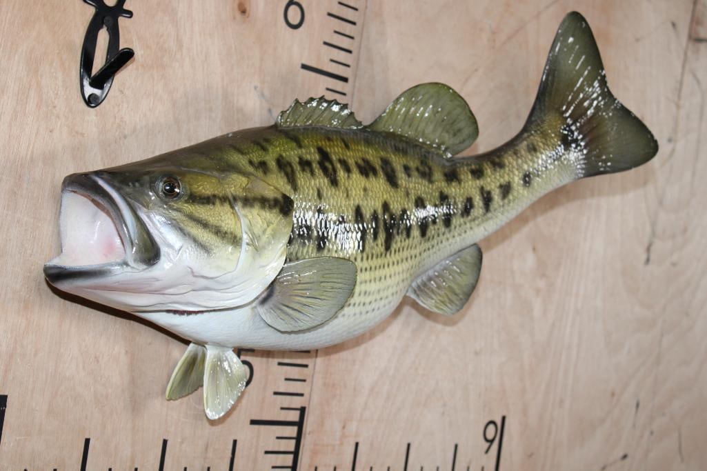 Reproduction BASS Fish Mount - 2