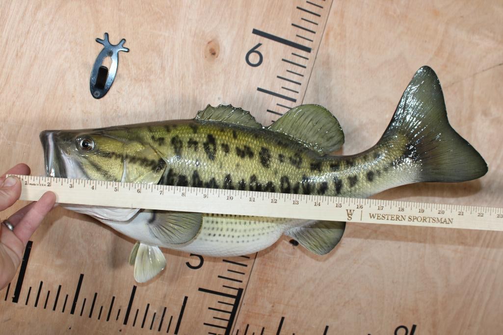 Reproduction BASS Fish Mount - 5