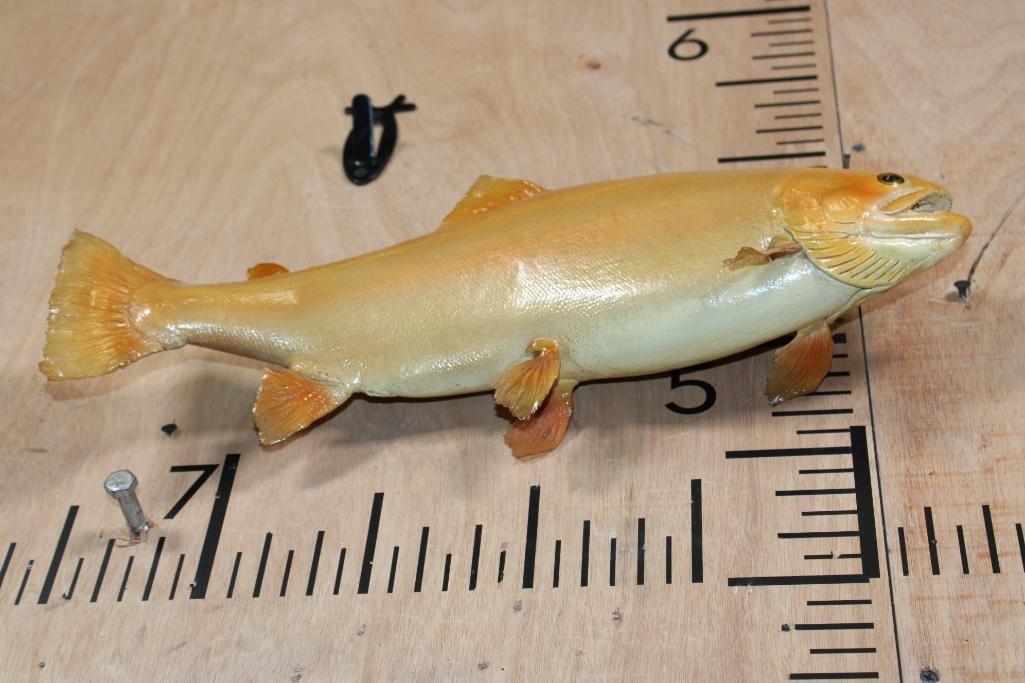 *Real Skin* PALOMINO or GOLDEN RAINBOW TROUT Fish Mount - 2