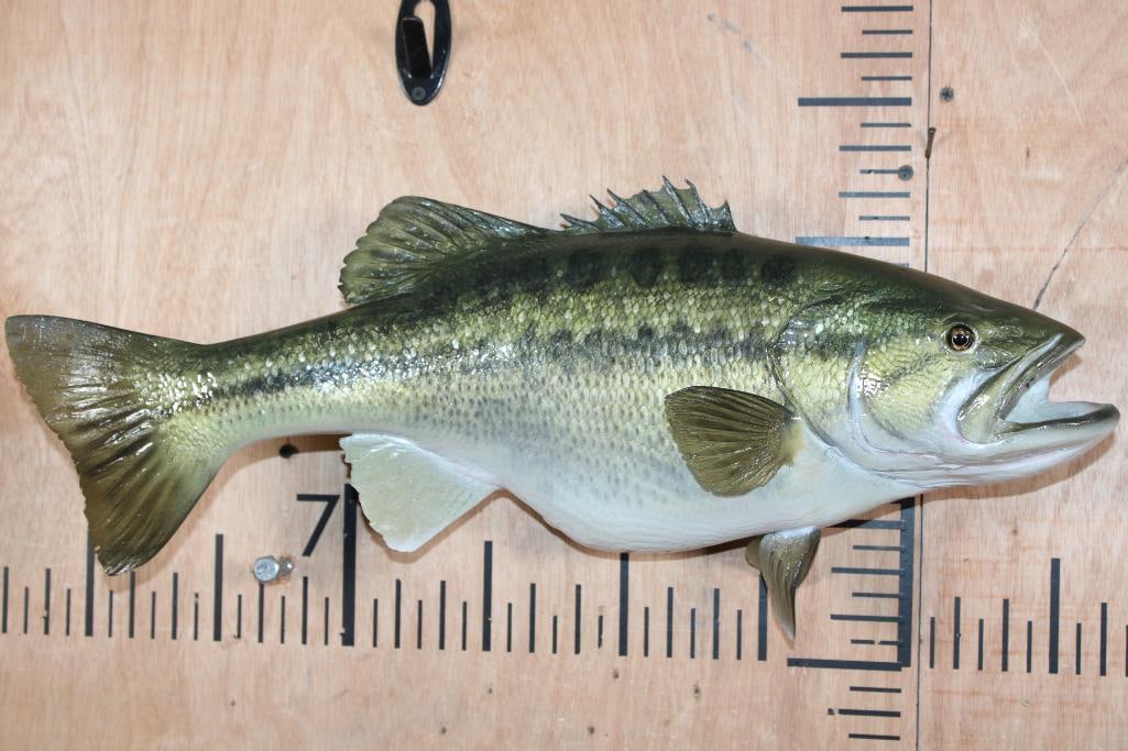 Reproduction BASS Fish Mount: Nice Reproduction BASS Fish Mount. It measures 21.5" Long and is in Good Condition. TAXIDERMY FISH 