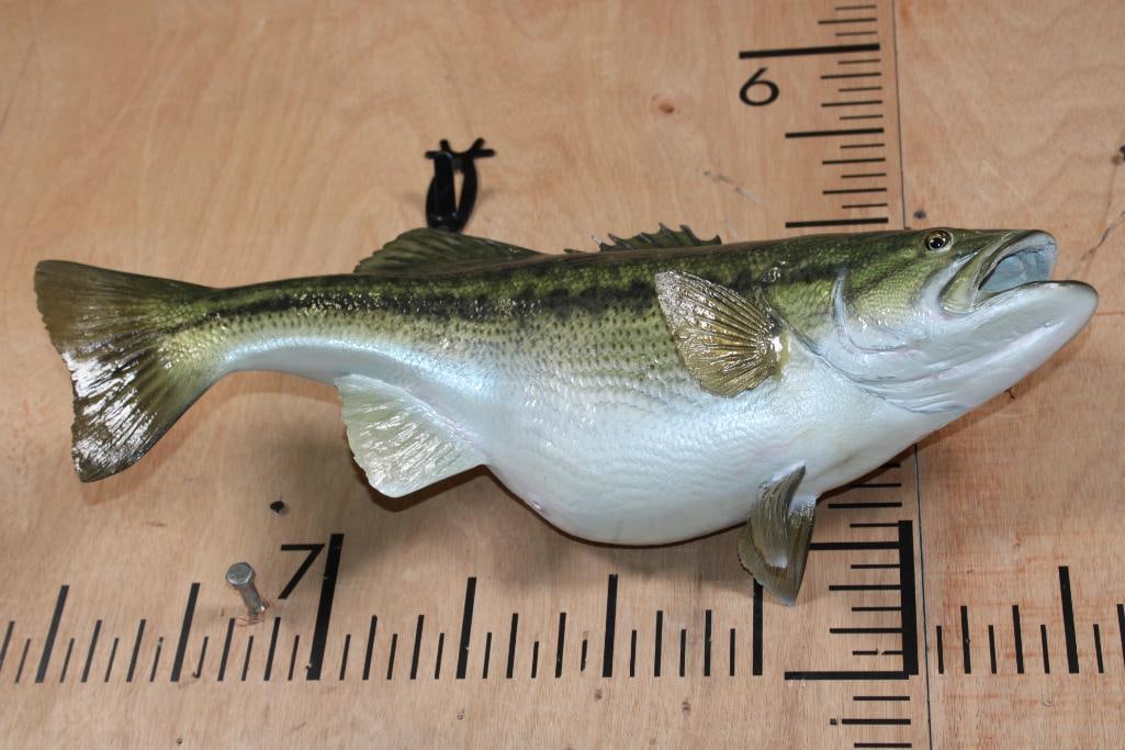 Reproduction BASS Fish Mount - 5