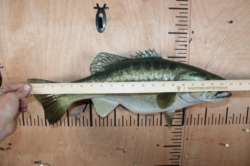 Reproduction BASS Fish Mount - 6