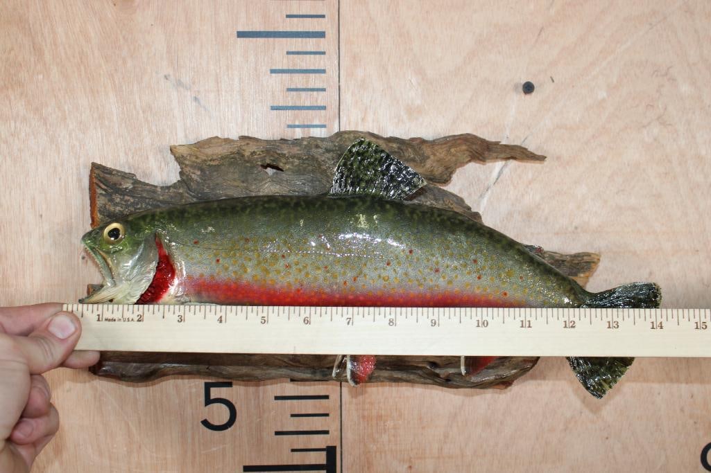 *Real Skin* BROOK TROUT on Driftwood - 5