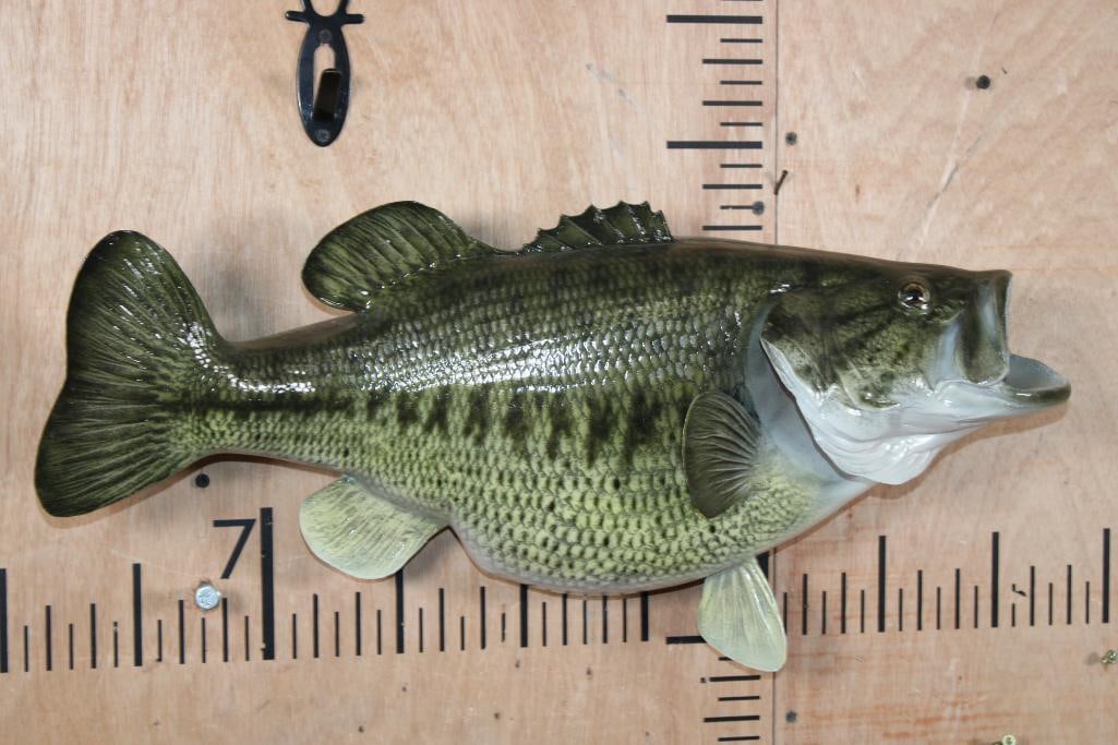 Reproduction BASS Fish Mount: Nice Reproduction BASS Fish Mount. It measures 23" Long x 11" Tall x 6.5" Depth and is in Very Good Condition. TAXIDERMY FISH 