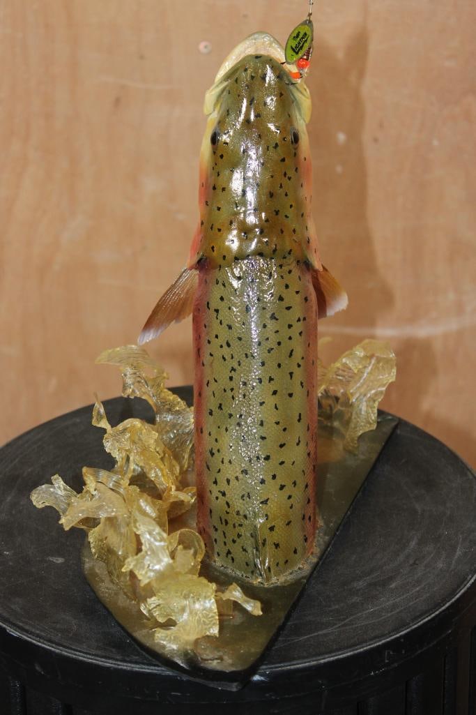 Unique Half-body *Real Skin* RAINBOW TROUT with a Reproduction Head - 3