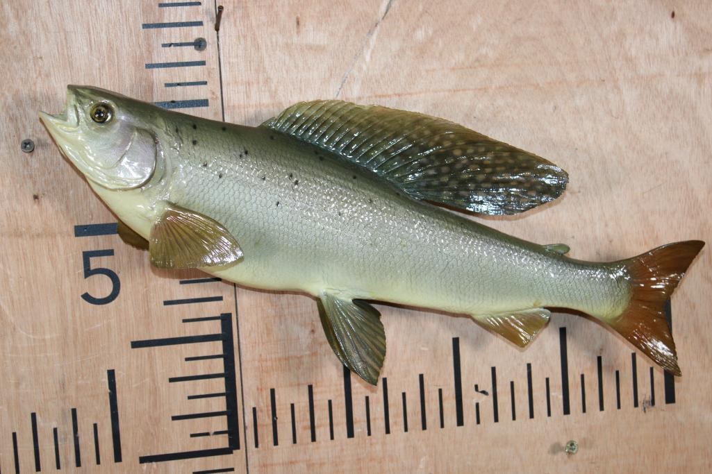 Reproduction ARCTIC GRAYLING Fish Mount: Reproduction ARCTIC GRAYLING Fish Mount. It measures 18" Long and is in Good Condition. TAXIDERMY FISH 
