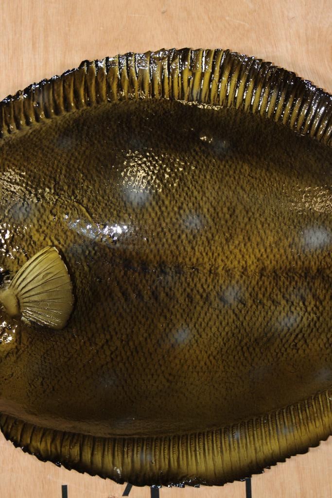 Big Reproduction FLOUNDER Fish Mount - 3