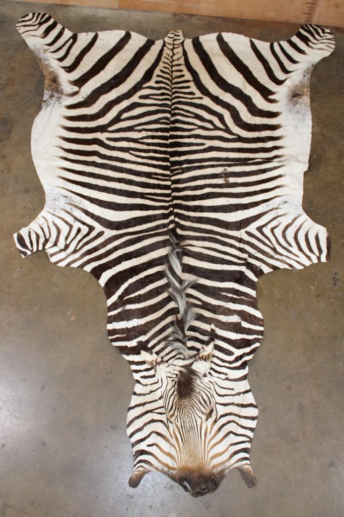 ZEBRA HIDE or ZEBRA RUG (1 of 6)