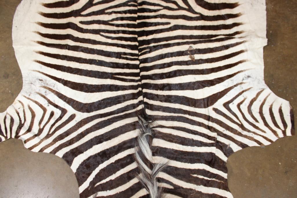 ZEBRA HIDE or ZEBRA RUG - 4