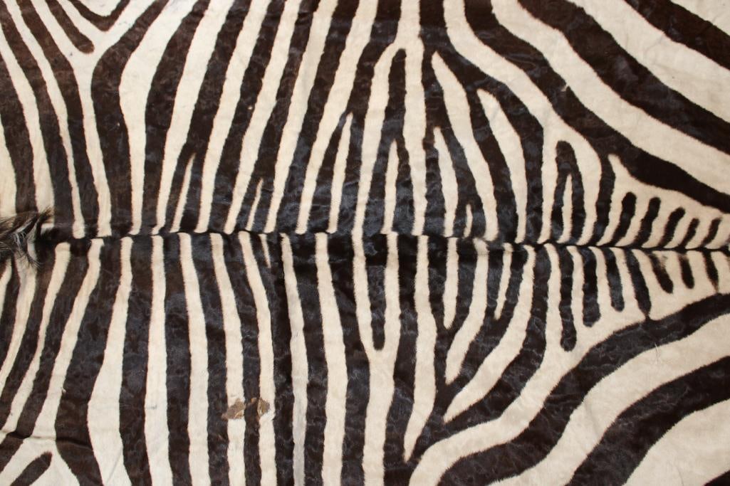 ZEBRA HIDE or ZEBRA RUG - 6