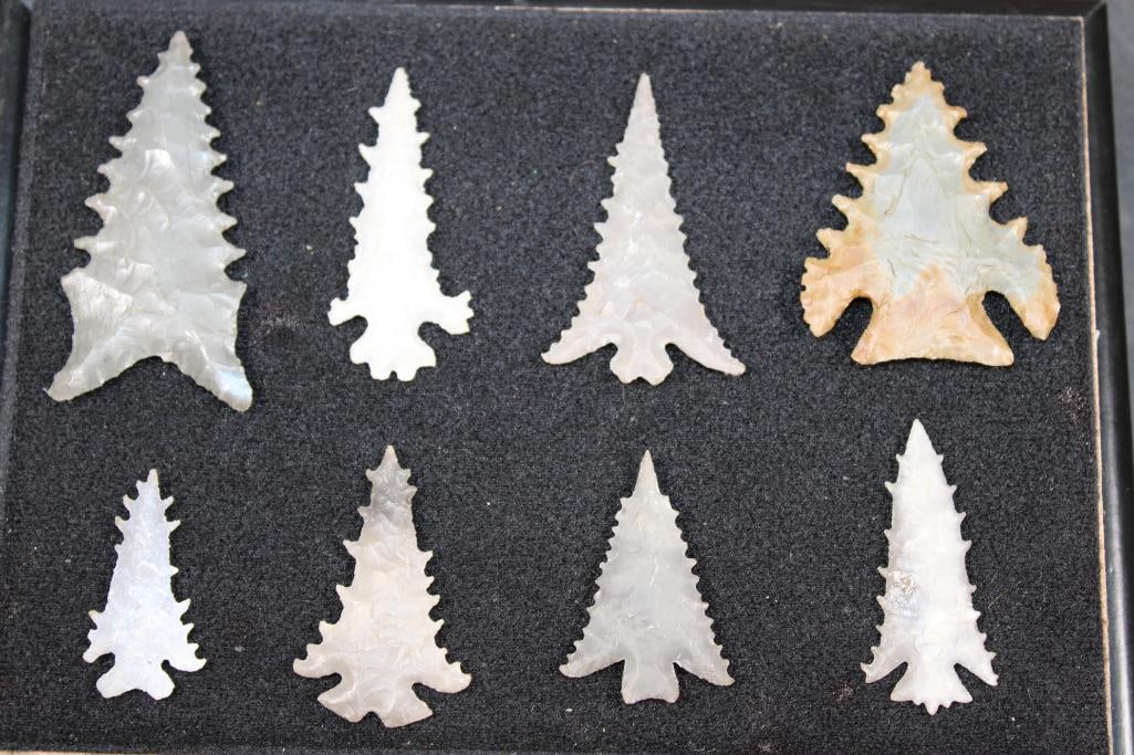 (8) Prehistoric Cahokia ARROWHEADS or "Bird Points' in a Display Case - 2