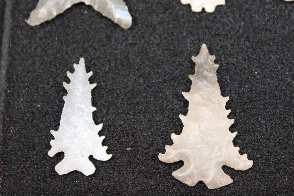 (8) Prehistoric Cahokia ARROWHEADS or "Bird Points' in a Display Case - 5