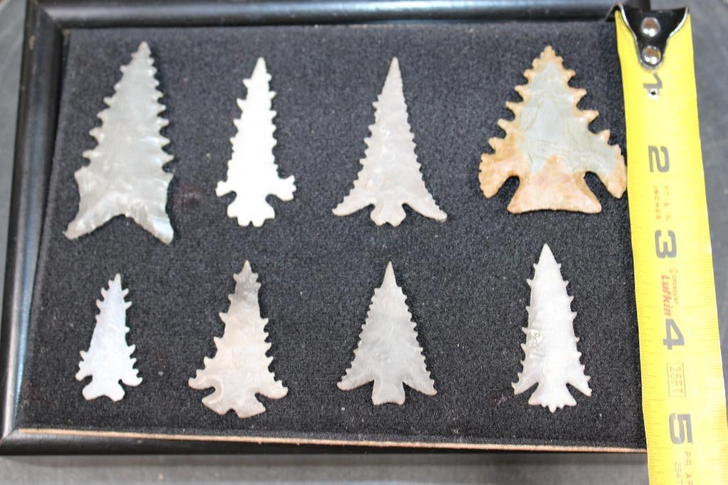 (8) Prehistoric Cahokia ARROWHEADS or "Bird Points' in a Display Case - 7